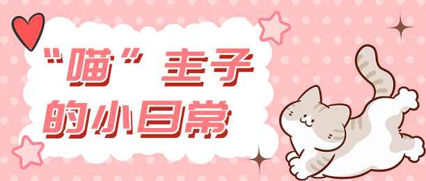 萌宠日常生活公众号首图新媒体运营图片下载
