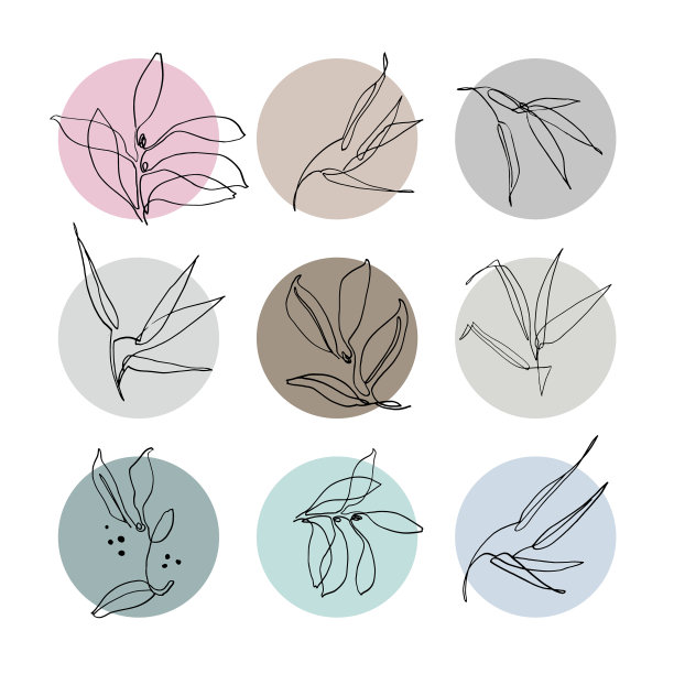 植物线艺术集艺术绘画图片下载