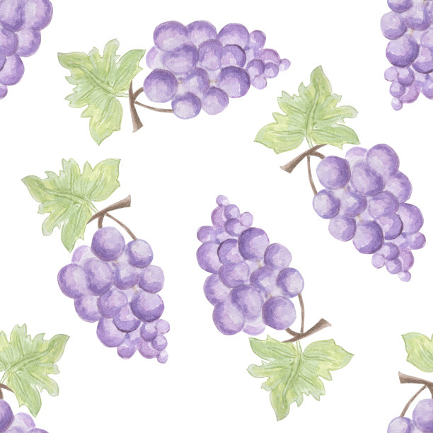 串葡萄。水彩插图。无缝模式。图片下载