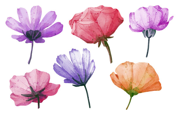 美丽的花束和离开水彩风格图片下载