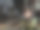 在一个古老的黑暗的教堂里靠近蜡烛的火焰图片下载