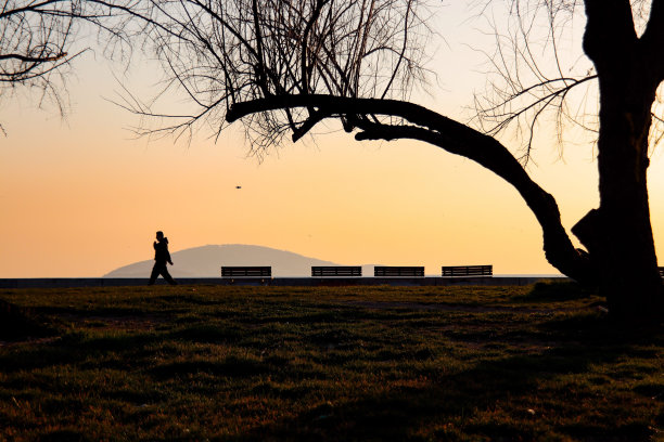 永不回头图片下载