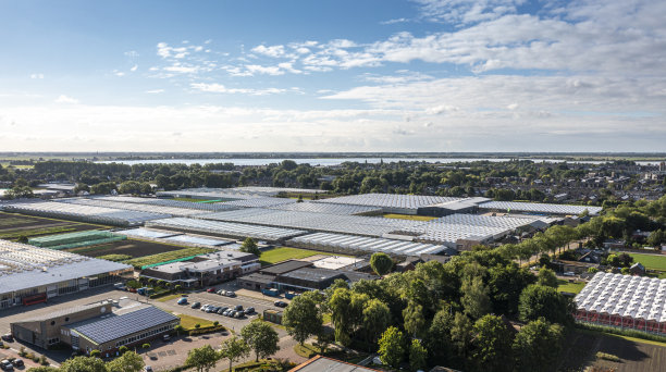 荷兰文化景观:农业大棚的无人机视图。图片下载