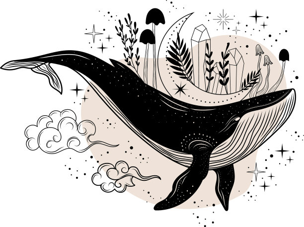 鲸鱼鲸鱼轮廓神秘的鲸鱼图片下载