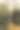 南佛罗里达宁静的湖泊中的海龟和橙色的鱼图片下载