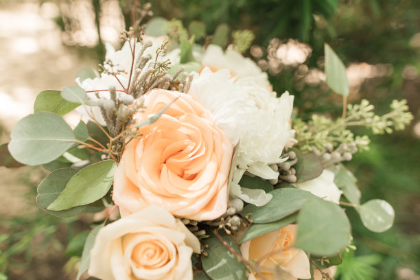 柔和柔和的婚礼花束与桃色玫瑰，白牡丹，和鼠尾草绿色桉树在棕榈滩，佛罗里达州图片下载