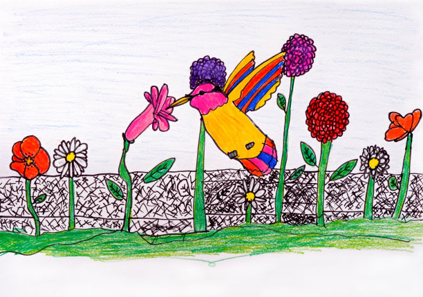 手绘一只蜂鸟喝着粉红色花朵上的花蜜，周围还有其他的花图片下载