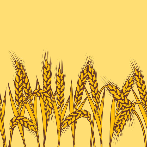 无缝图案配合小麦农业形象图片下载