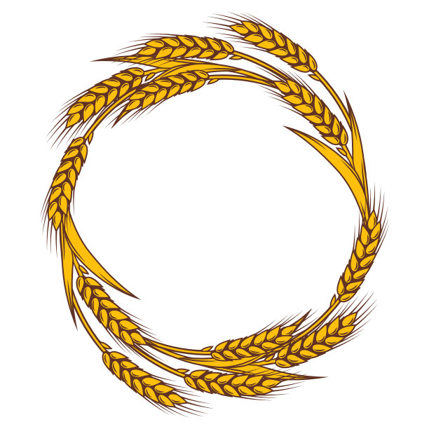 画框以小麦农业形象配合自然图片下载