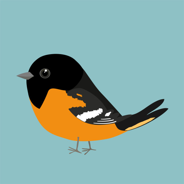 一个矢量插图的可爱的漫画巴尔的摩黄鹂图片下载
