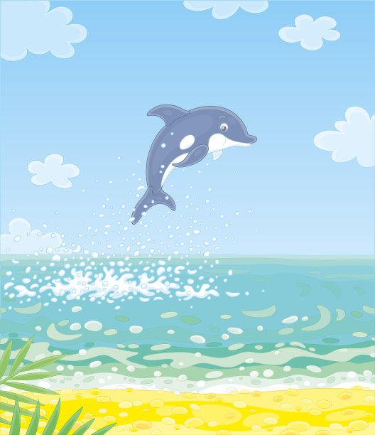 快乐和顽皮的小海豚在跳跃图片下载