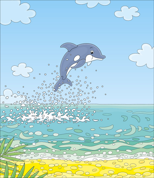 快乐和顽皮的小海豚在跳跃图片下载