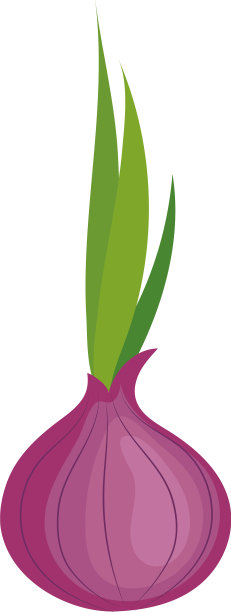 鲜紫洋葱蔬菜图片下载