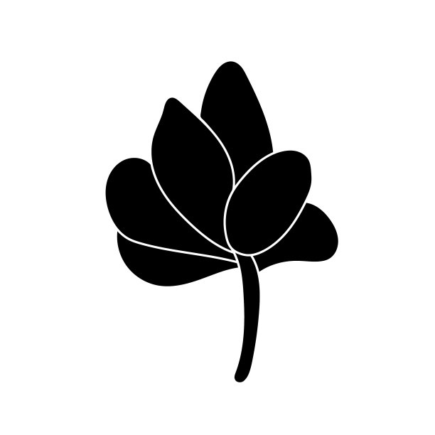 风格简单的多肉青壳图片下载