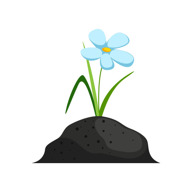土壤养花园艺的概念图片下载