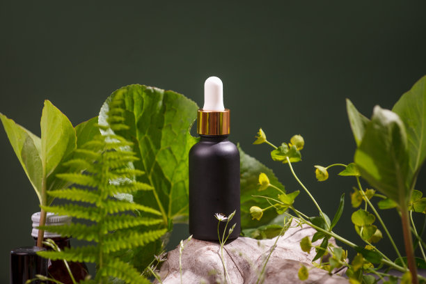 精华液，油，乳液在前面的棕色滴管瓶，热带新鲜绿叶，浴室。水疗产品。有机，生物，天然化妆品。美容，护肤理念，横幅，美容院传单图片下载