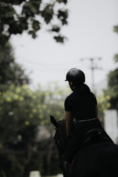 盛装舞步，女人带着她的马驰骋图片下载