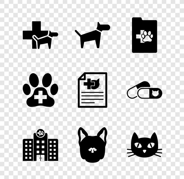 创下兽医诊所宠物狗临床记录图片下载