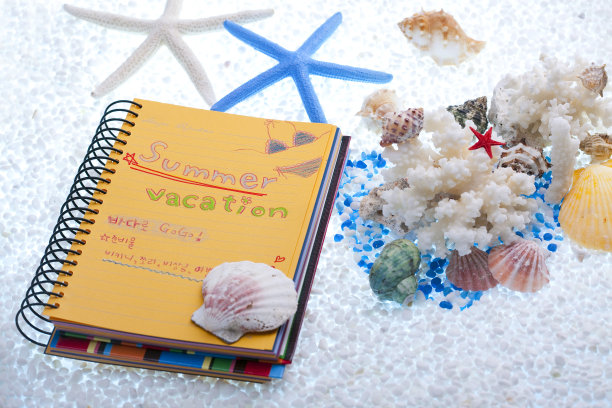 夏天的道具图片下载