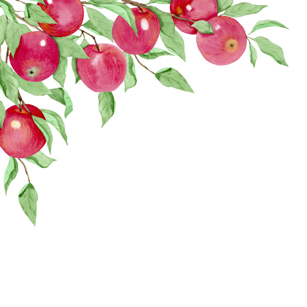 水彩角框与红苹果，树枝和树叶，孤立在一个白色的背景。为婚礼设计、标志、贺卡、剪贴簿、升华等创意。图片下载