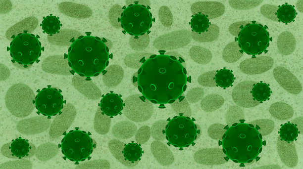 猴痘与新型冠状病毒插图概念艺术图片下载