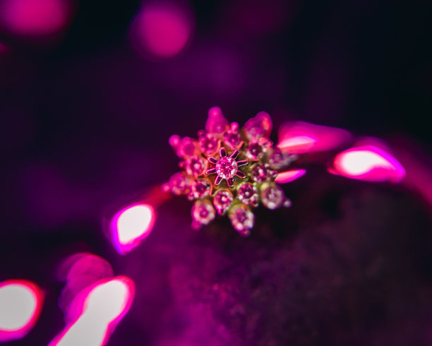 钻石戒指图片下载