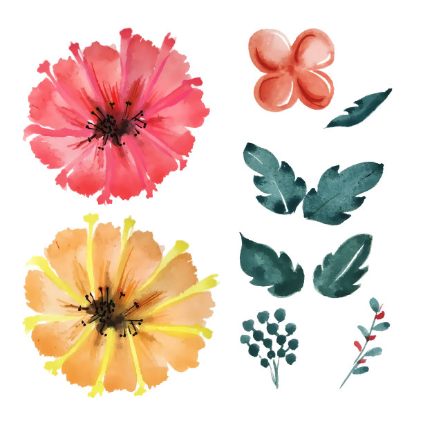 手绘水彩花和树叶设置图片下载