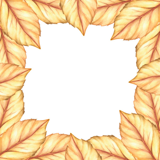 秋叶方框。水彩的插图。孤立在白色背景上。图片下载
