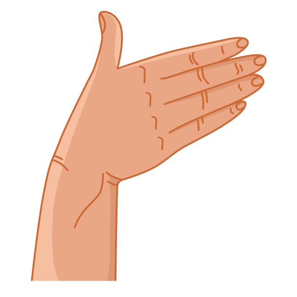 手的姿势。图片下载