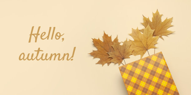 秋天,秋天的概念。检查橙色礼品纸袋和秋天干树叶粉彩米色背景。平铺，俯视图，拷贝空间。创造性的秋天组成。万圣节,感恩节图片下载