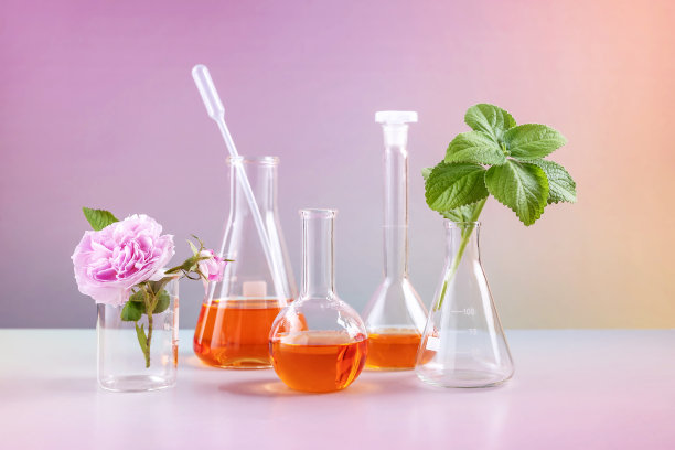 实验室烧杯，玫瑰果花和薄荷叶的梯度背景图片下载