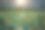 在越南，太阳下山在美丽的莲花田。图片下载