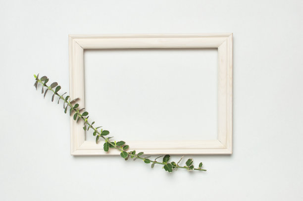 白色的木制相框和灰色背景下春天绿色的植物枝条。平铺俯视图拷贝空间。时尚的最小组成，艺术品模型，画框，家居装饰图片下载