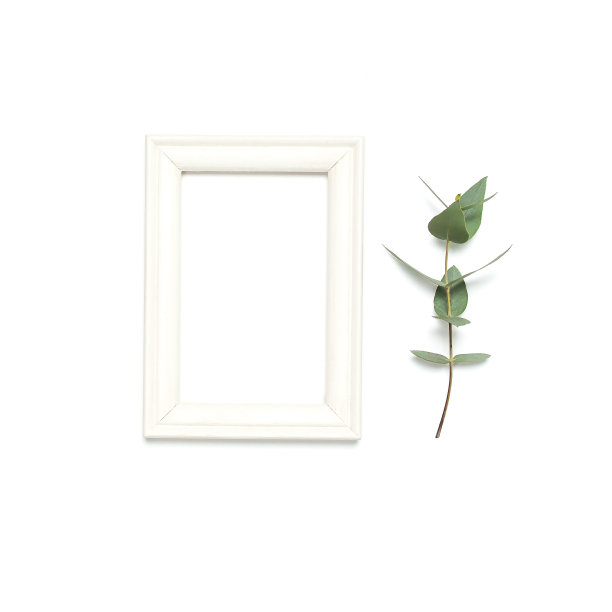 白色的木制相框和绿色的桉树叶在白色的背景。平铺俯视图拷贝空间。时尚的最小组成，艺术品模型，画框，家居装饰图片下载