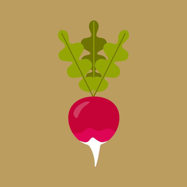 萝卜图标在平面风格孤立的对象标志图片下载