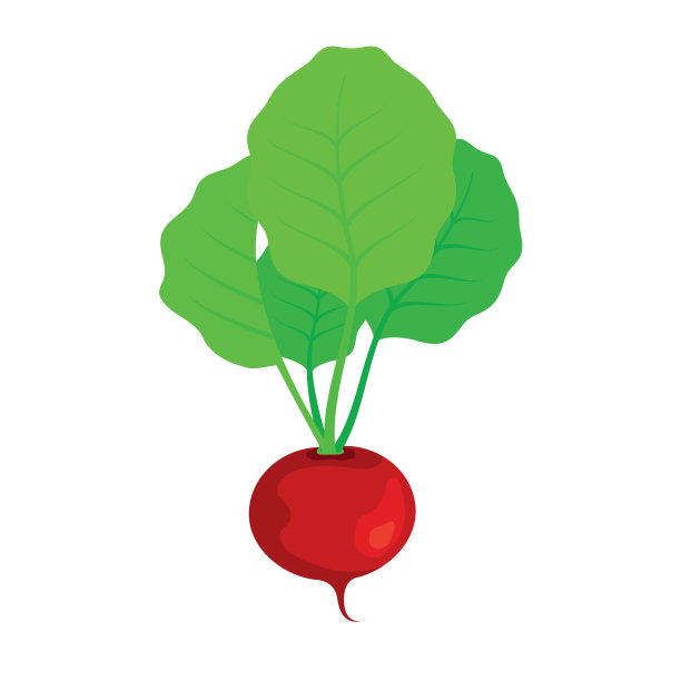 红萝卜配绿叶图标图片下载