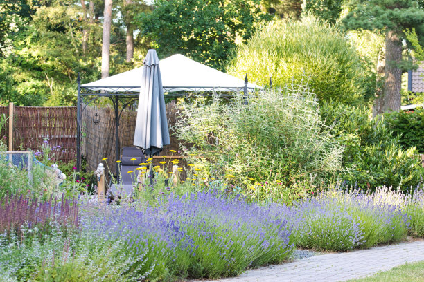 花园藤架周围的鲜花盛开，柔和的焦点，夏末花园紫色薰衣草，菖蒲，艾草，鼠尾草，地球蓟和马鞭草盛开旁边的花园小路图片下载