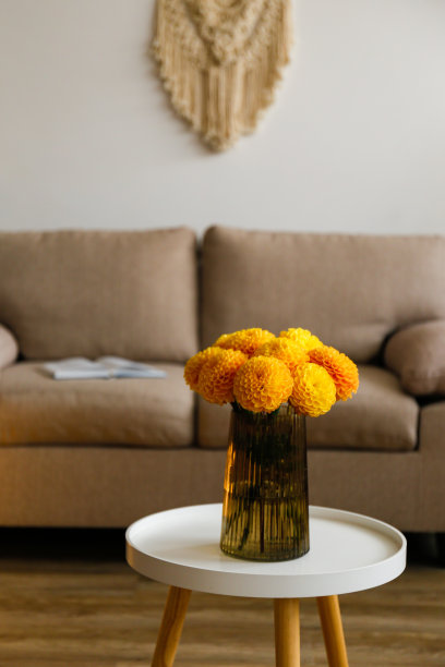 鲜艳多彩的大丽花。图片下载