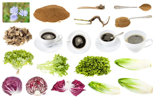 各种食物和饮料，如菊苣和菊苣图片下载