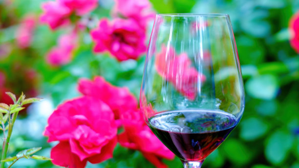 一杯红酒在盛开的玫瑰的特写背景下。关注前景图片下载