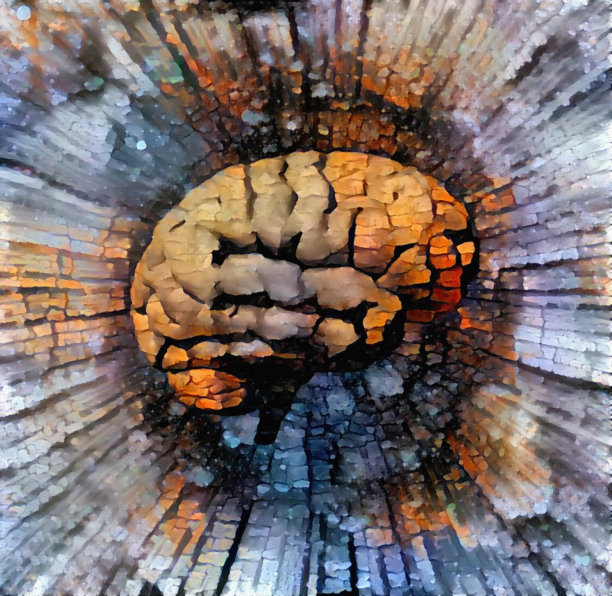 人类的大脑模型图片下载