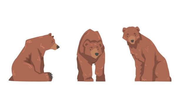 棕熊为大型野生陆生食肉动物图片下载