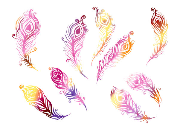 水彩一套鸟的羽毛元素在线条艺术的风格在白色的背景。紫色，棕色，黄色，橙色，粉色和紫色的羽毛图片下载