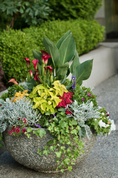 带有花卉背景的外露骨料混凝土花盆图片下载