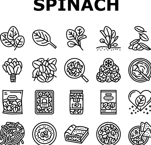 菠菜健康饮食成分图标设置图片下载