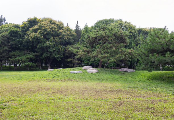 新鲜的自然背景图片下载