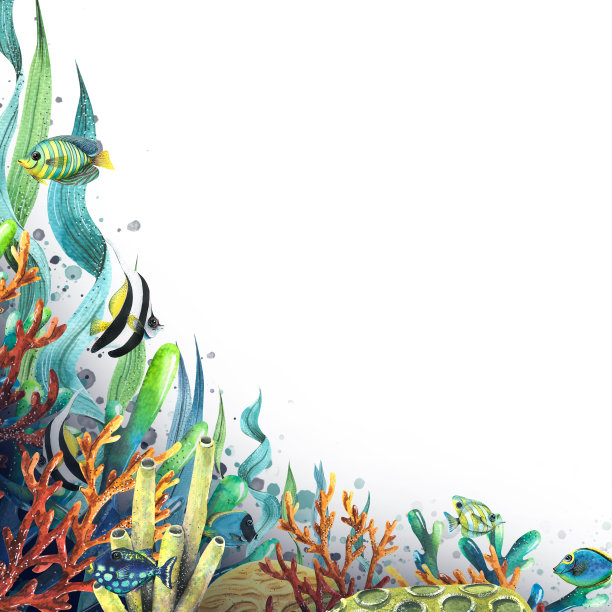 热带鱼、珊瑚、海绵和藻类边角框架水彩插画，用于横幅、信息、明信片、海报、沙滩配件和纪念品设计图片下载