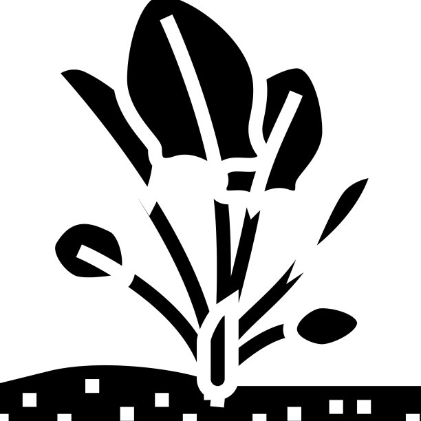 种植菠菜生长字形图标图片下载