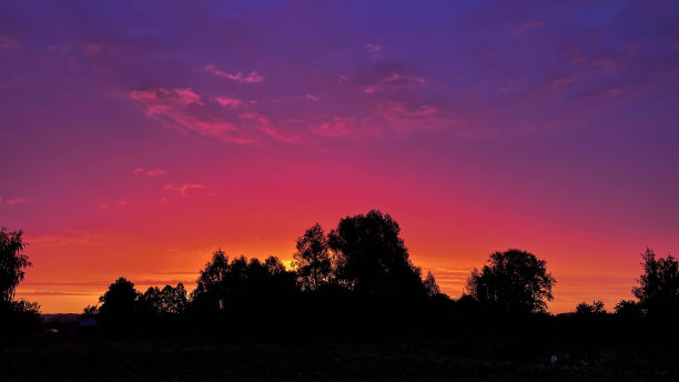 大树背景下美丽的粉红色夕阳图片下载