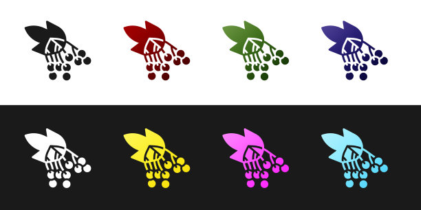 立枝荚蒾或guelder玫瑰图标孤立图片下载